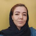 خانم مهندس مینا شهابی